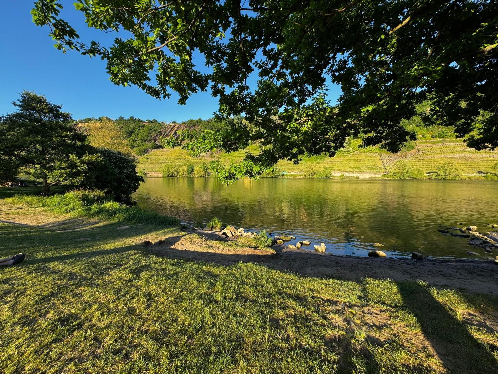 Ferienhaus Ufergeheimnis Am Guelser Moselbogen I 2 Sz I 5 Gaeste I Badebucht I Grill I Garten Koblenz  Dış mekan fotoğraf