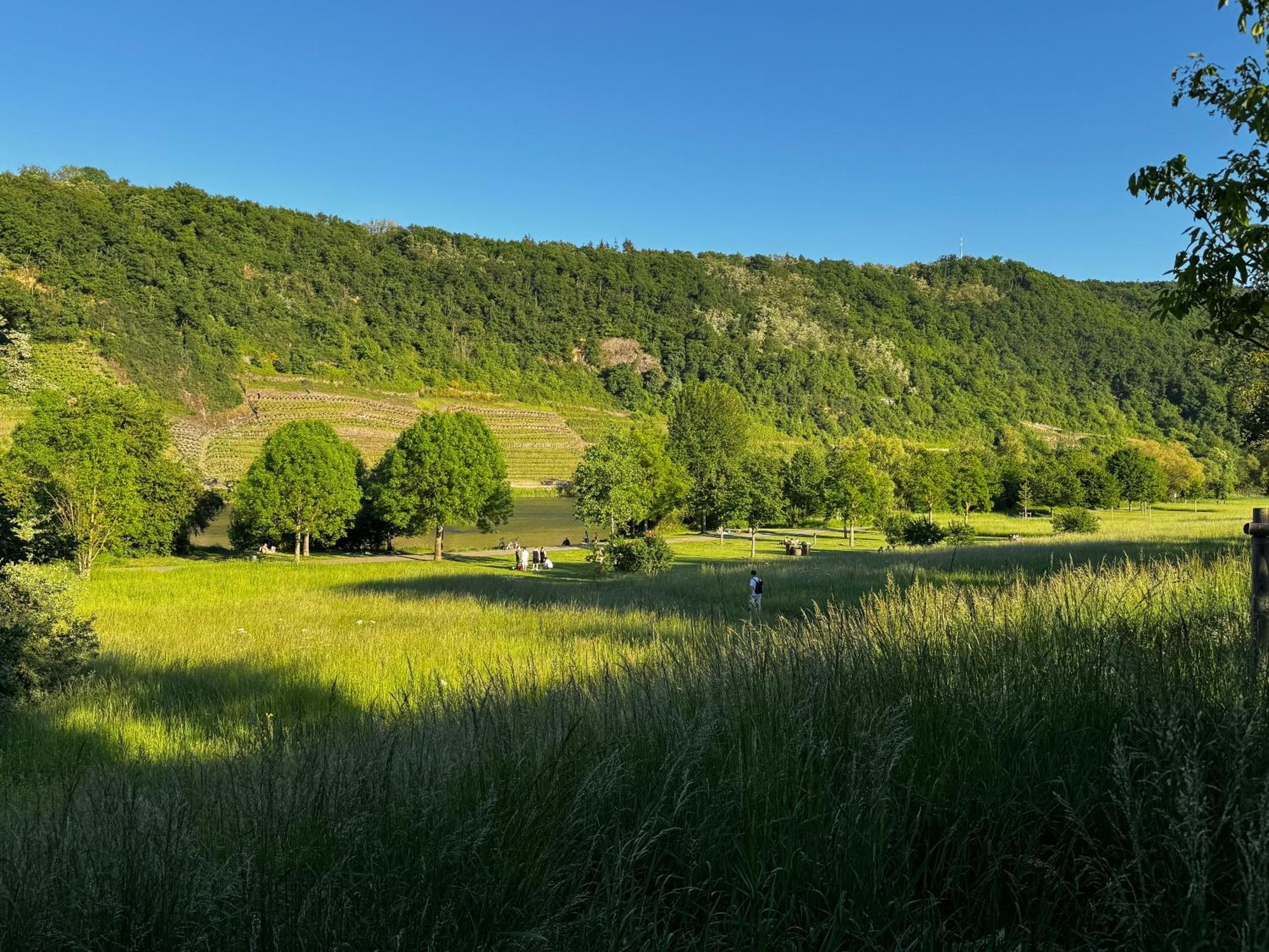 Ferienhaus Ufergeheimnis Am Guelser Moselbogen I 2 Sz I 5 Gaeste I Badebucht I Grill I Garten Koblenz  Dış mekan fotoğraf